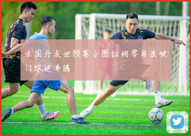 法国丹麦世预赛小图拉姆零角度破门球迷沸腾