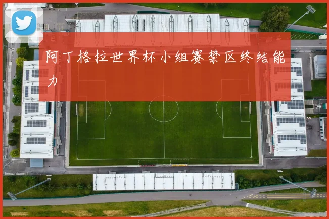 阿丁格拉世界杯小组赛禁区终结能力