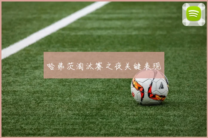 哈弗茨淘汰赛之夜关键表现