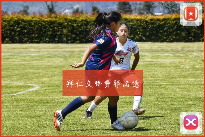 拜仁交锋费耶诺德
