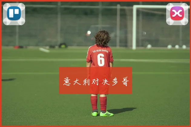 意大利对决多哥
