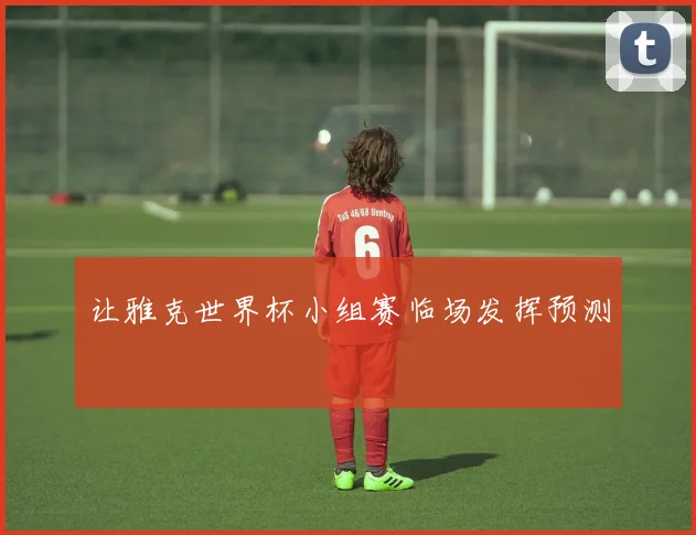 让雅克世界杯小组赛临场发挥预测