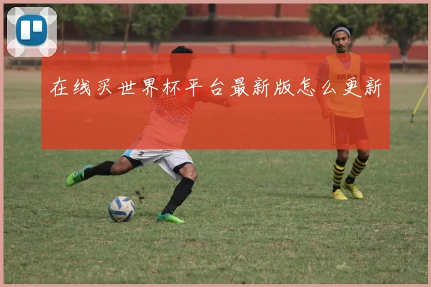 在线买世界杯平台最新版怎么更新