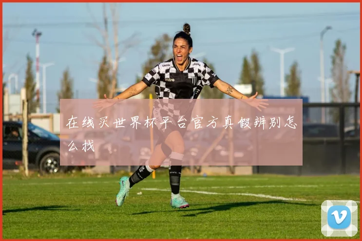 在线买世界杯平台官方真假辨别怎么找