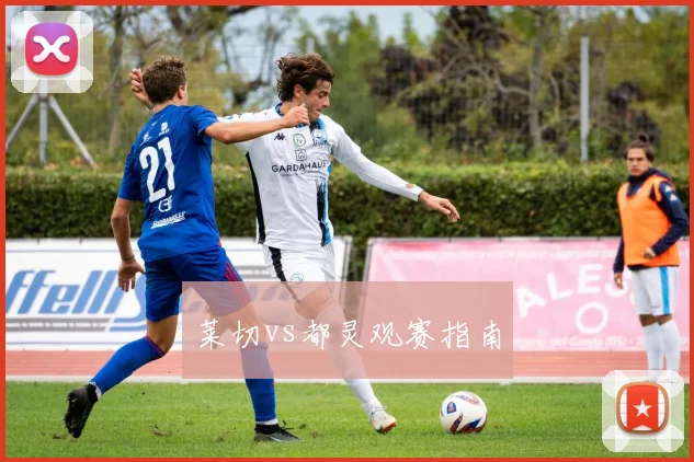 莱切vs都灵观赛指南