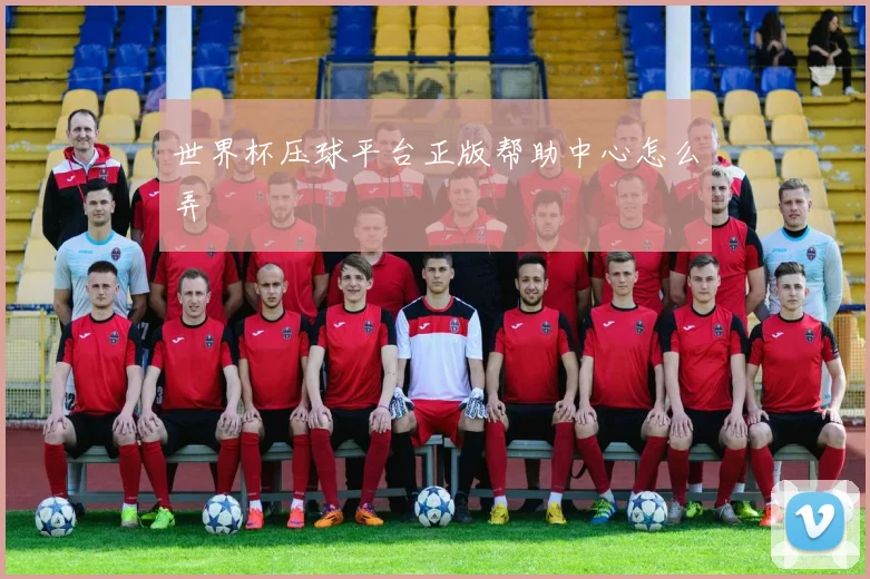 世界杯压球平台正版帮助中心怎么弄