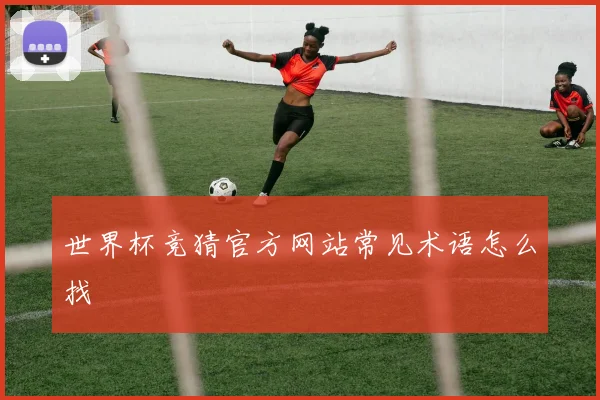 世界杯竞猜官方网站常见术语怎么找