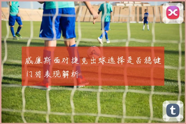 威廉斯面对捷克出球选择是否稳健门将表现解析